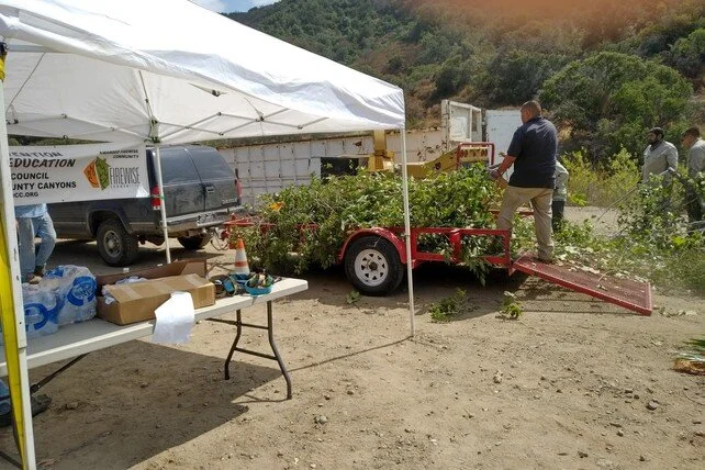 Fire safe landscaping