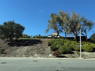 Local hillside landscape